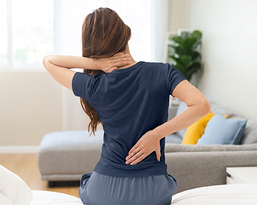 Neck-Spine-Support - Magniflex North America