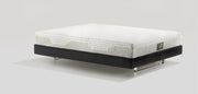MagniStretch® Sport 10 - Magniflex North America