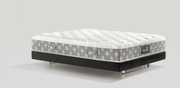 DolceVita Dual 12 - Magniflex North America