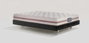Toscana Cotton Lux 10 - Magniflex North America