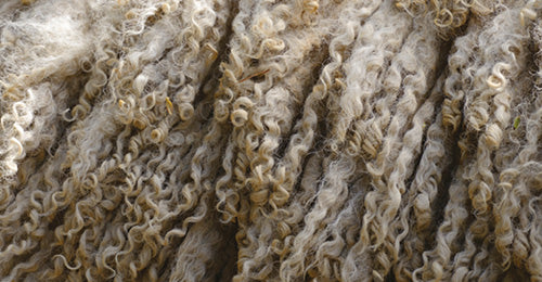 Cashmere