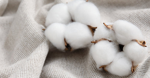 Cotton