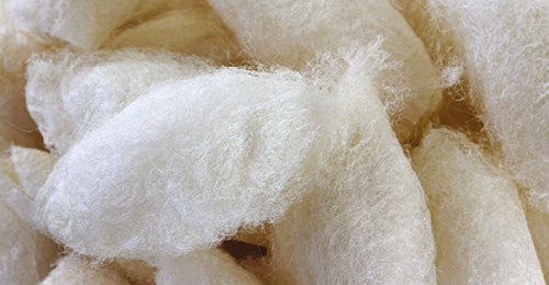 Silk