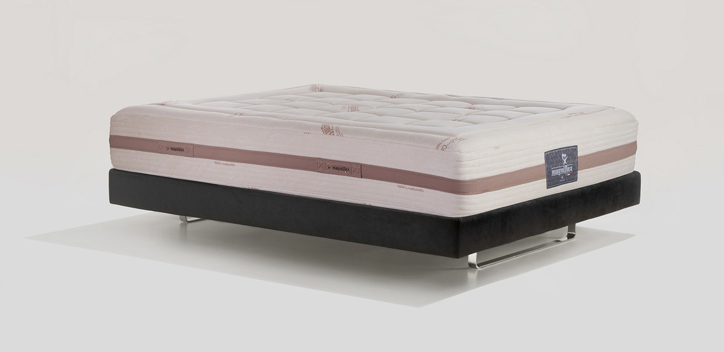 Shop Toscana Cotton Lux 10 | Magniflex – Magniflex North America