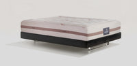 Toscana Cotton Grande Dual 12