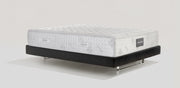 Virtuoso Elegante - Magniflex North America